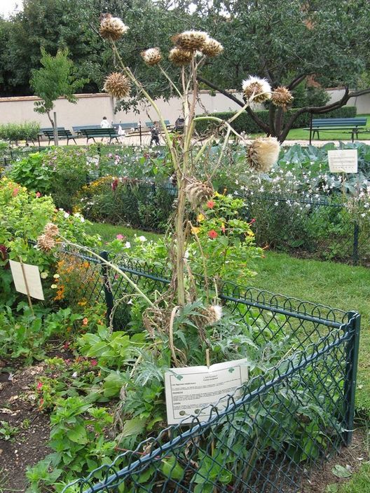 Un Biohuerto Público en París: El Jardín Catherine Labouré