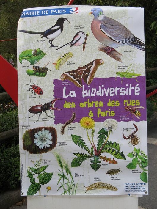 Un Biohuerto Público en París: El Jardín Catherine Labouré