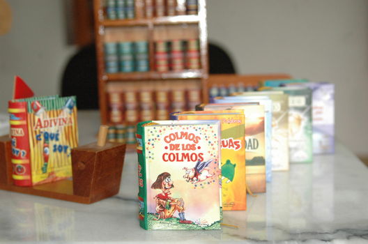 Libros en miniatura