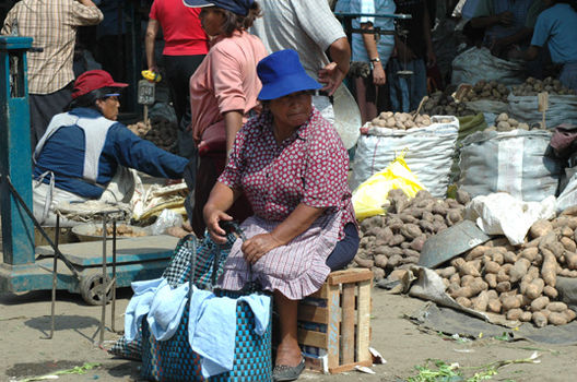 Niños en pobreza extrema en el Perú
