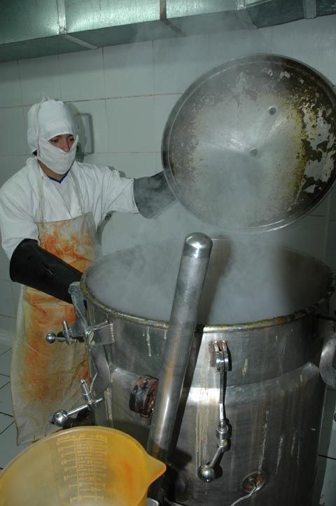 Productos  Transgénicos