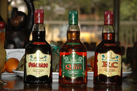 Bebidas Tipicas de la  Selva
