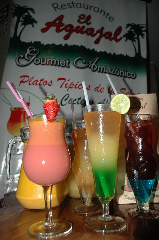 Bebidas Tipicas de la  Selva