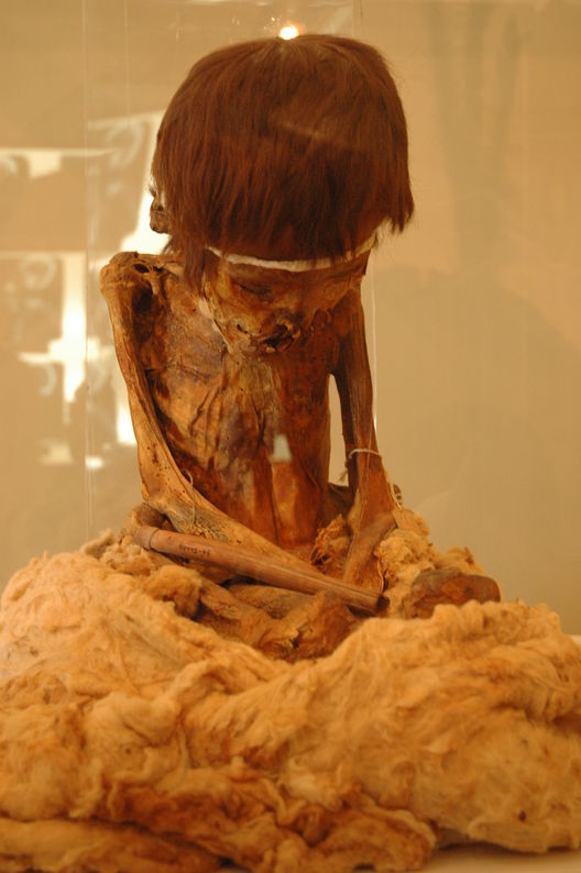 Museo Regional de Ica  Adolfo Bermudez