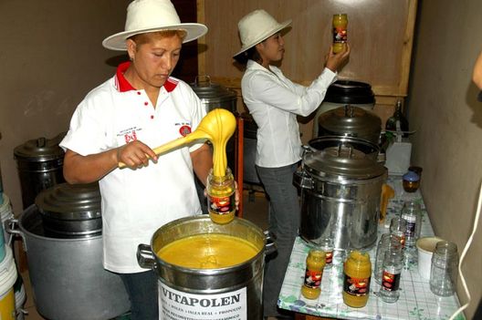 Vitapolen, Criadero de Abejas
