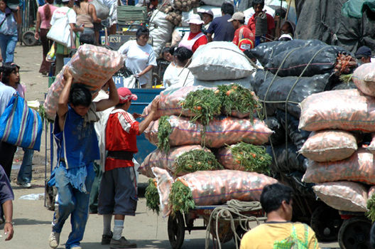 Mercado Mayorista