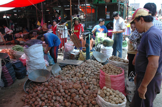 Mercado Mayorista