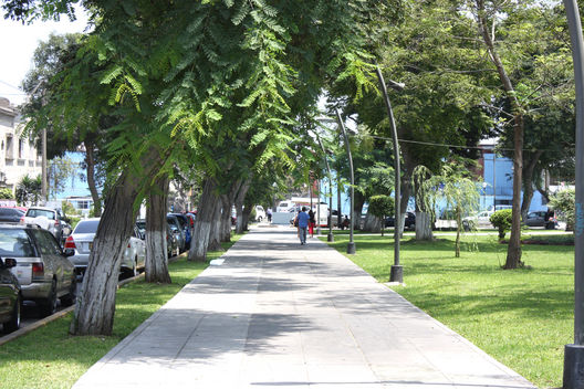 Parque las Camelias. Lince