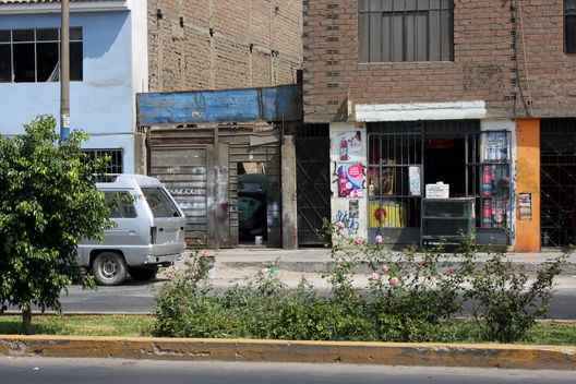 Avenida los Tusilagos
