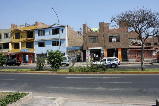 Avenida los Tusilagos