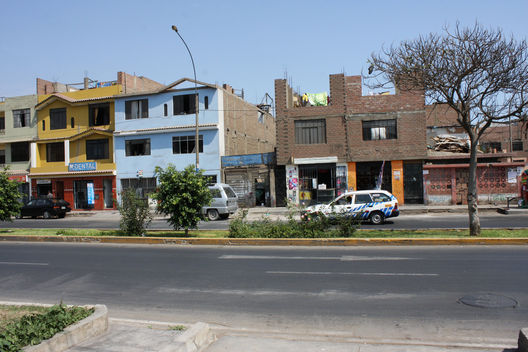 Avenida los Tusilagos