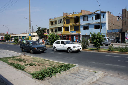 Avenida los Tusilagos