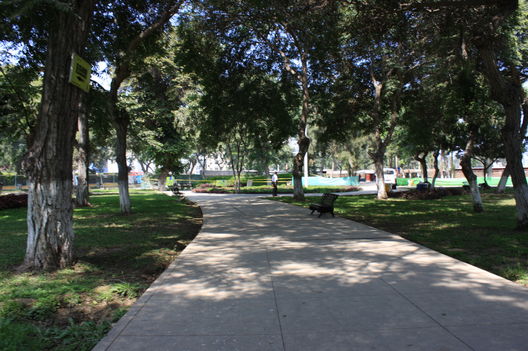 Campo de Marte