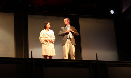 Obra Teatral,Casi Normal