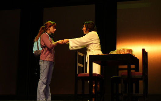 Obra Teatral,Casi Normal