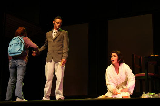Obra Teatral,Casi Normal