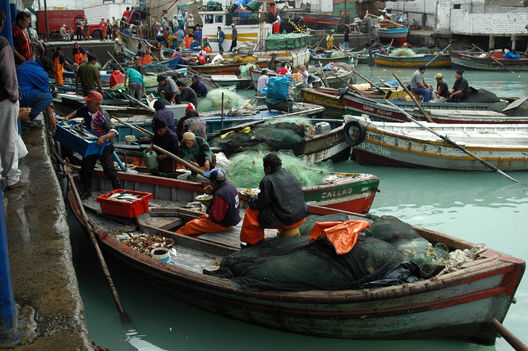 Puerto del Callao, pescadores