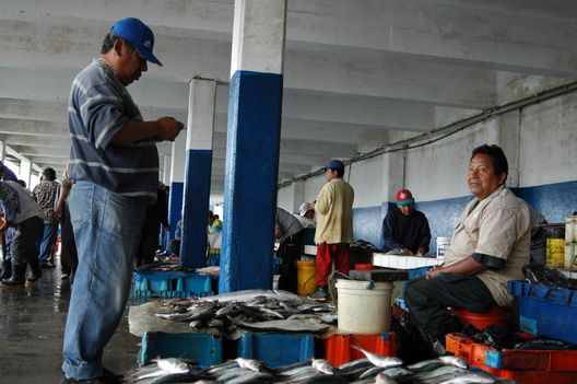 Puerto del Callao, pescadores