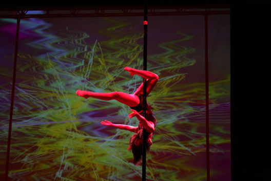 Pole Dance en el Coliseo San Agustin