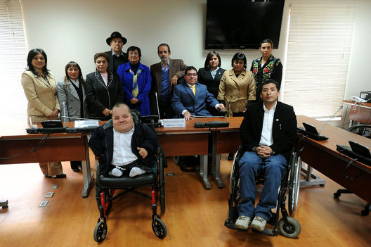 Comisión de Inclusión Social y Personas con Discapacidad,