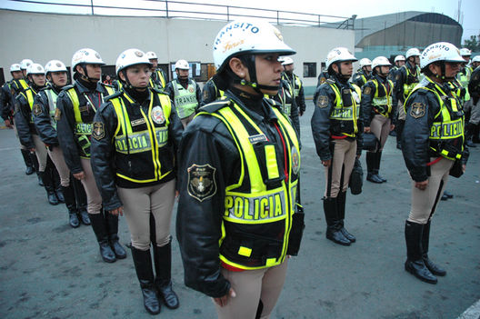 Excuadron de la Policías fenix