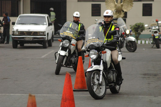 Excuadron de la Policías fenix