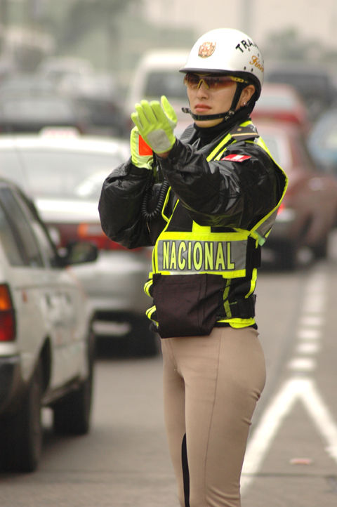 Excuadron de la Policías fenix