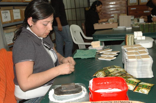 Jovenes trabajando