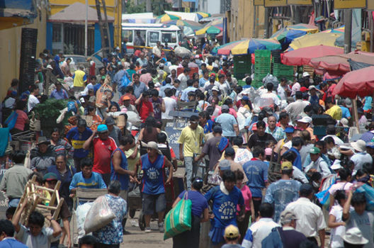 Mercado Mayorista de la Parada