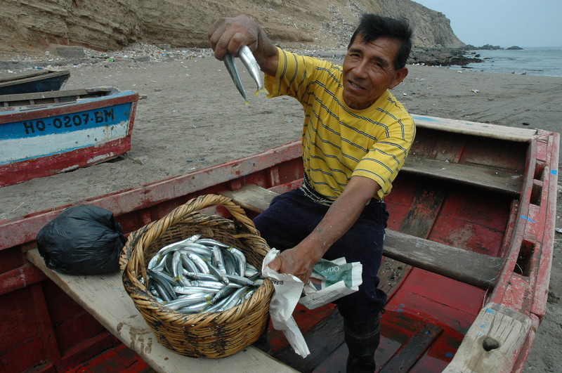 Pescadores trabajan, pero presevando los recursos de nuestro mar, el Mar de Grau