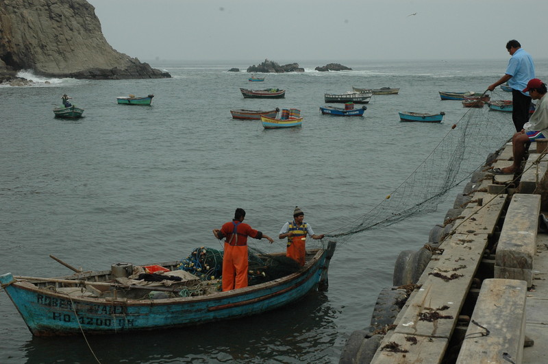 Pescadores trabajan, pero presevando los recursos de nuestro mar, el Mar de Grau
