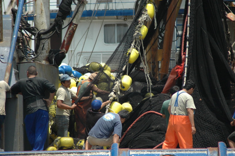 Pescadores artesanales laboran en el puerto del Callao, el primer puerto del Perú