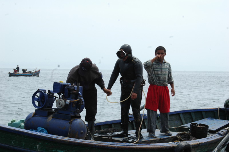 Un buzo desciende en las aguas del mar peruano
