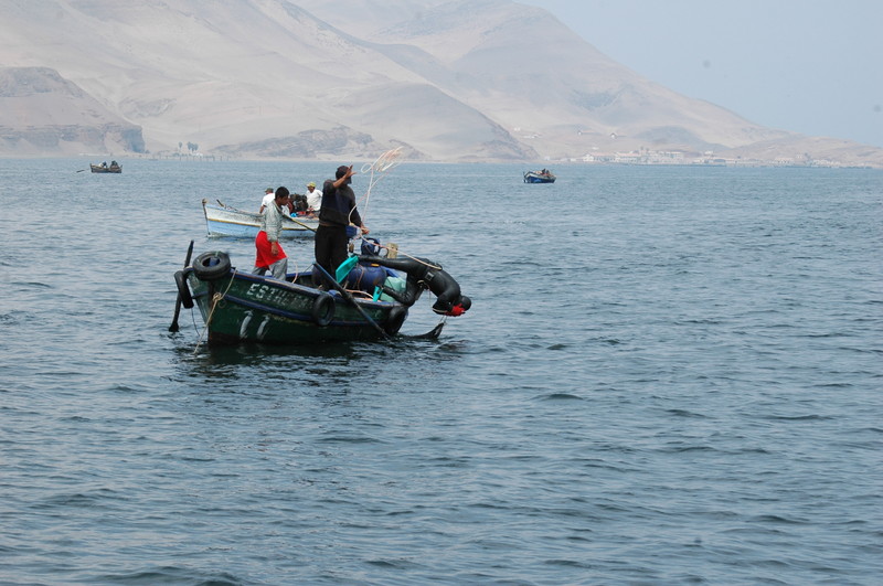 Un buzo desciende en las aguas del mar peruano