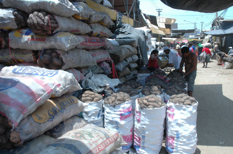 La Parada es el mercado mayorista más grande de Lima,donde miles de personas hacen sus compras a precios ascequibles