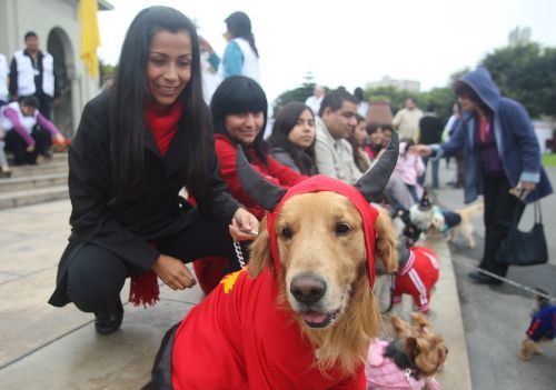Perros, mascotas, en el Parque Kennedy de Miraflores