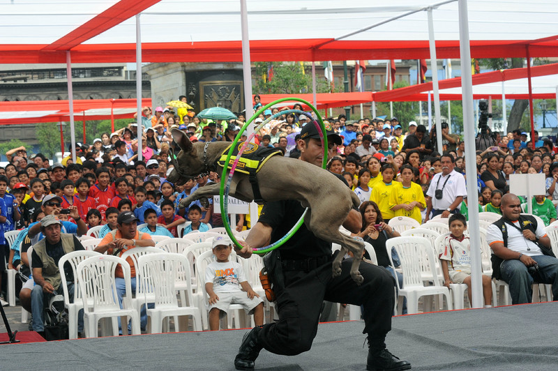 Policía canina realizó una exhibición en el Congreso de la República