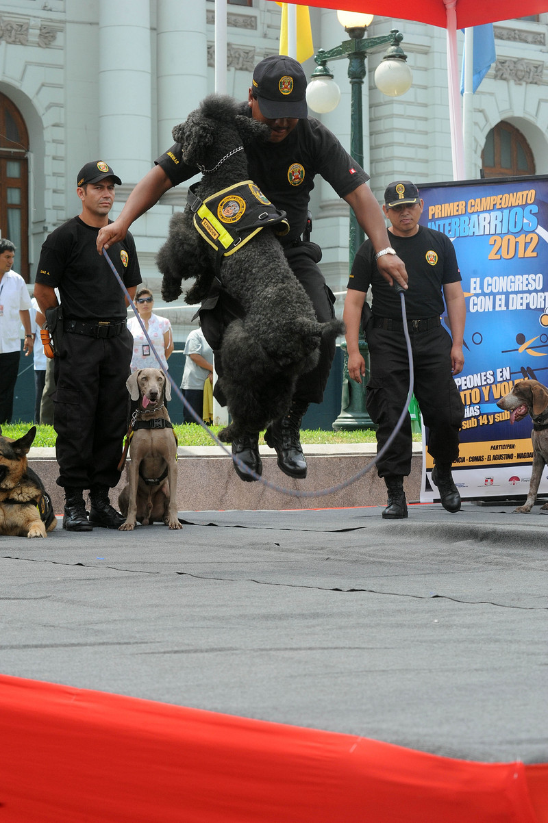 Policía canina realizó una exhibición en el Congreso de la República