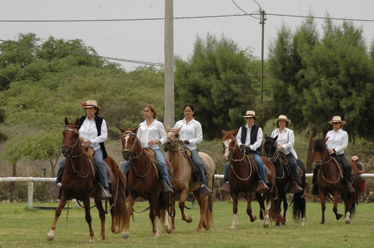 Caballos de paso en el norte del Perú, en la Región Piura