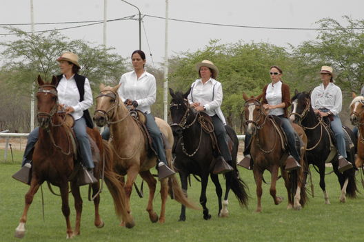 Caballos de paso en el norte del Perú, en la Región Piura