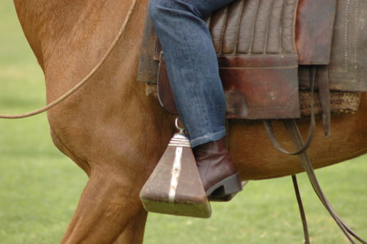 Caballos de paso en el norte del Perú, en la Región Piura