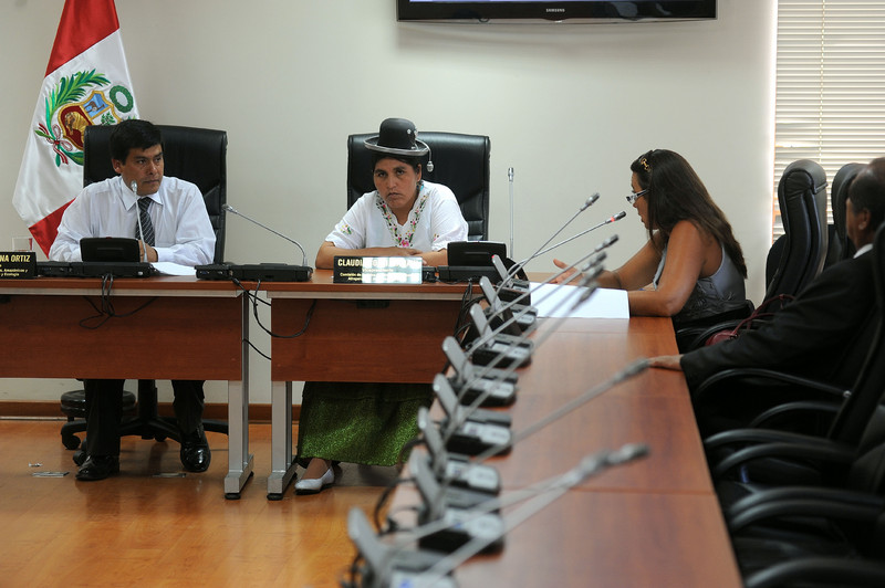 Congresista Antonio Medina Ortiz sesiona la Comisión de Pueblos Andinos