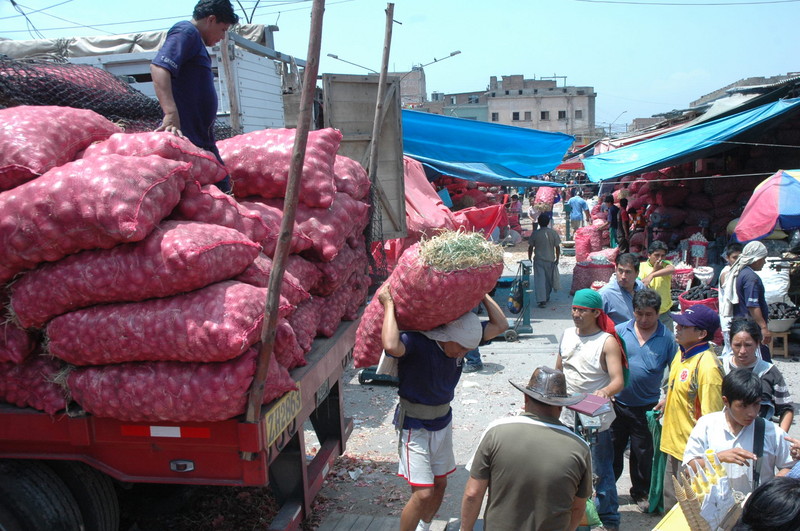 Los Camiones de carga llegan desde muy temprano a la parada con mercadería de tubérculos para ser distribuida por los estibadores