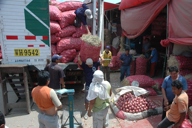 Los Camiones de carga llegan desde muy temprano a la parada con mercadería de tubérculos para ser distribuida por los estibadores