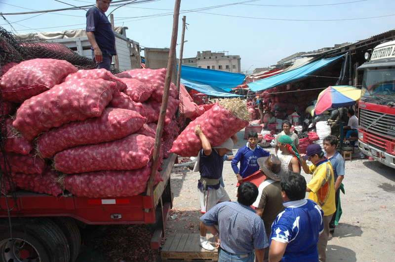 Los Camiones de carga llegan desde muy temprano a la parada con mercadería de tubérculos para ser distribuida por los estibadores