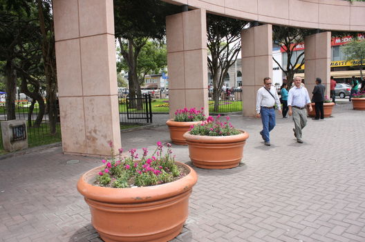 El atractivo y acogedor Parque Kennedy ubicado en el Ovalo de Miraflores