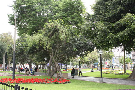 El atractivo y acogedor Parque Kennedy ubicado en el Ovalo de Miraflores