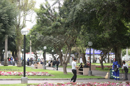 El atractivo y acogedor Parque Kennedy ubicado en el Ovalo de Miraflores