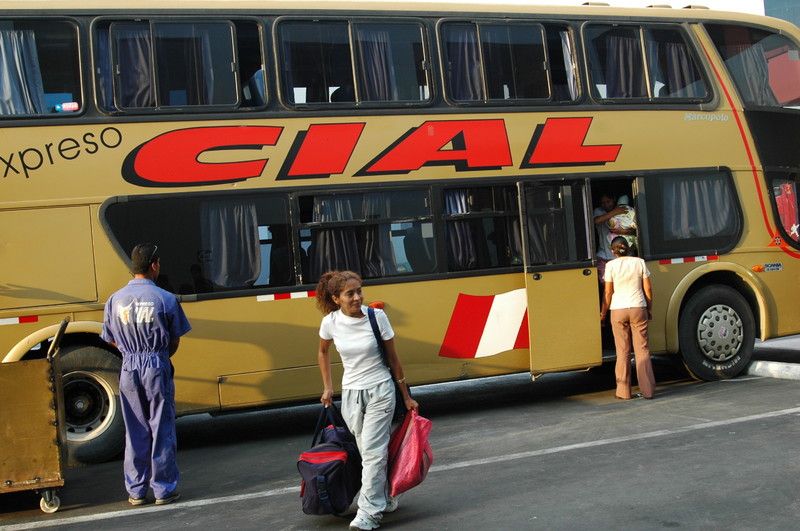 Miles de empresas de transporte terrestre brindan seguridad para sus clientes de diferente partes del Perú