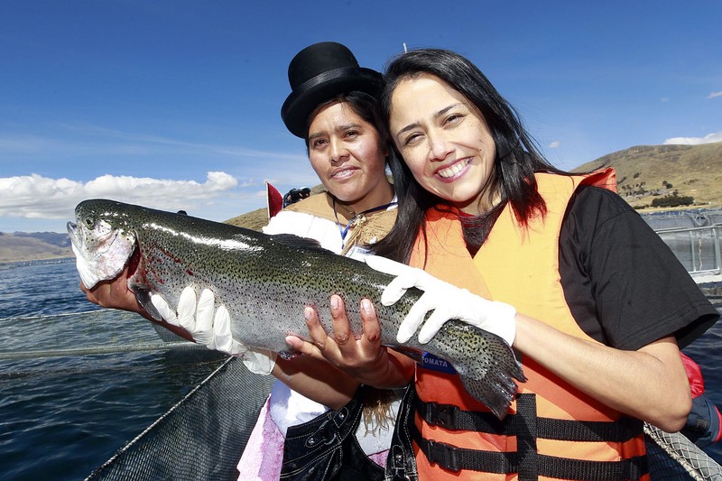 Primera Dama Nadine Heredia en el lanzamiento de la marca colectiva 'Andean Trout' (trucha andina) en Puno